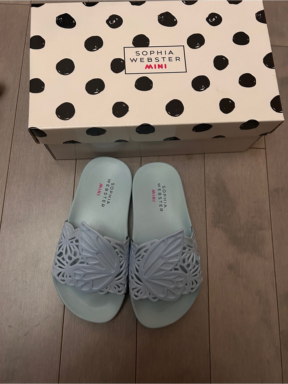 Sophia Webster Light Blue Butterfly Cutout Slide Sandals